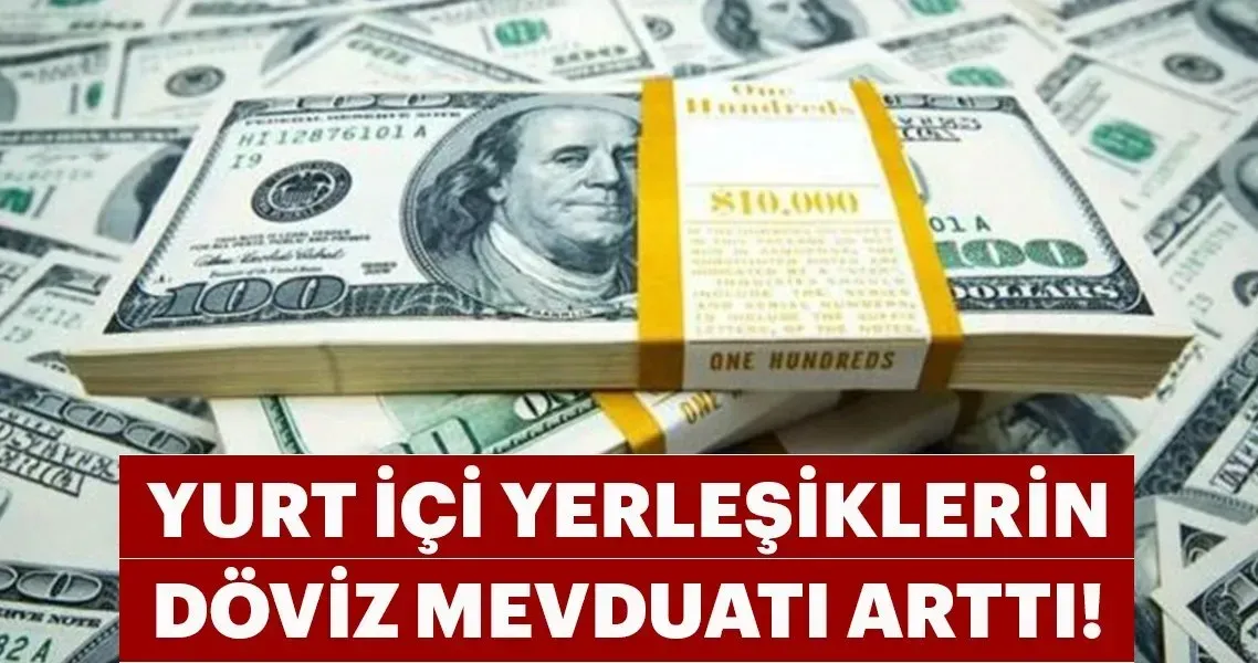 Döviz Mevduatı Artışı: Yurt İçinde 5,6 Milyar Dolar