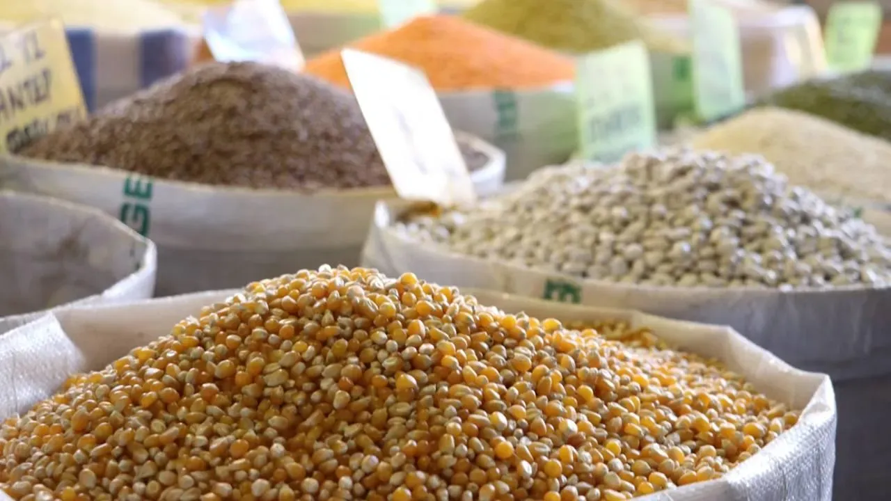 Afrika’ya Hubutat İhracatı Yüzde 13,6 Arttı