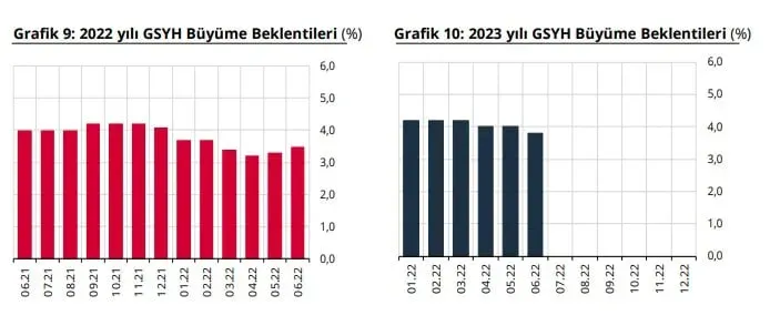 Merkez Bankası Enflasyon Dinamikleri Özel Sayısı Duyurusu